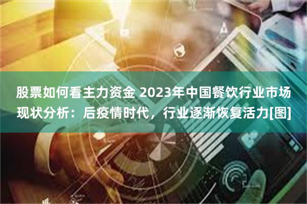 股票如何看主力资金 2023年中国餐饮行业市场现状分析：后疫情时代，行业逐渐恢复活力[图]
