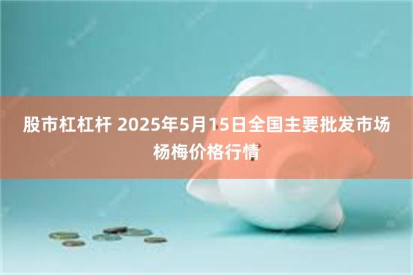股市杠杠杆 2025年5月15日全国主要批发市场杨梅价格行情