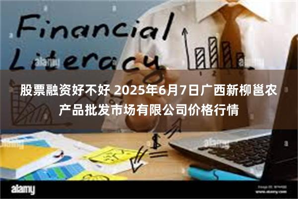 股票融资好不好 2025年6月7日广西新柳邕农产品批发市场有限公司价格行情