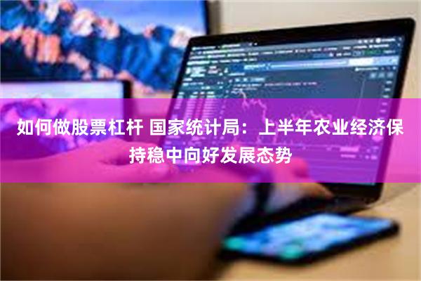 如何做股票杠杆 国家统计局：上半年农业经济保持稳中向好发展态势