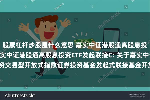 股票杠杆炒股是什么意思 嘉实中证港股通高股息投资ETF发起联接A,嘉实中证港股通高股息投资ETF发起联接C: 关于嘉实中证港股通高股息投资交易型开放式指数证券投资基金发起式联接基金开放日常申购、赎回及定期定额投资业务的公告