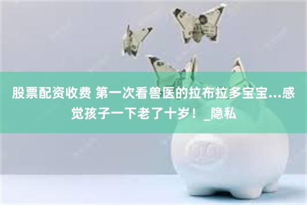 股票配资收费 第一次看兽医的拉布拉多宝宝...感觉孩子一下老了十岁！_隐私