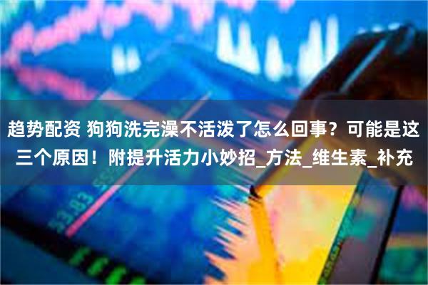 趋势配资 狗狗洗完澡不活泼了怎么回事？可能是这三个原因！附提升活力小妙招_方法_维生素_补充