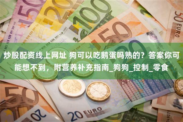 炒股配资线上网址 狗可以吃鹅蛋吗熟的？答案你可能想不到，附营养补充指南_狗狗_控制_零食