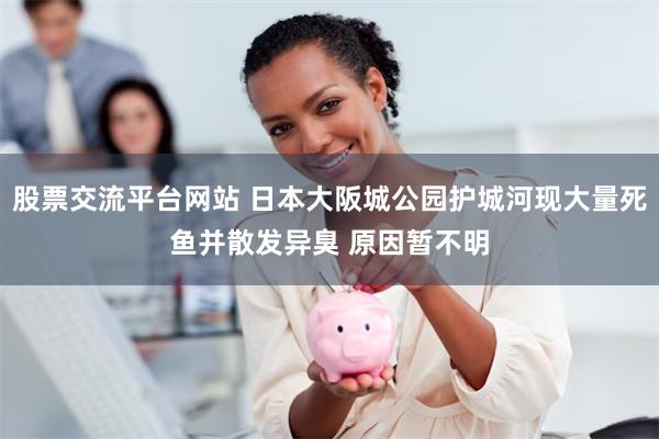 股票交流平台网站 日本大阪城公园护城河现大量死鱼并散发异臭 原因暂不明