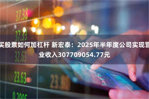 买股票如何加杠杆 新宏泰：2025年半年度公司实现营业收入307709054.77元